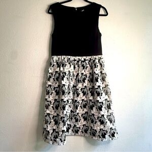 Tommy Hilfiger Stylish Black and White Dress. Sz 8.